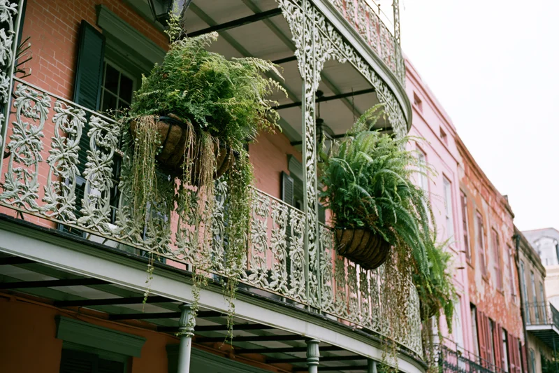 Ornate wrought-iron balcony with hanging ferns on a pink building in the French Quarter