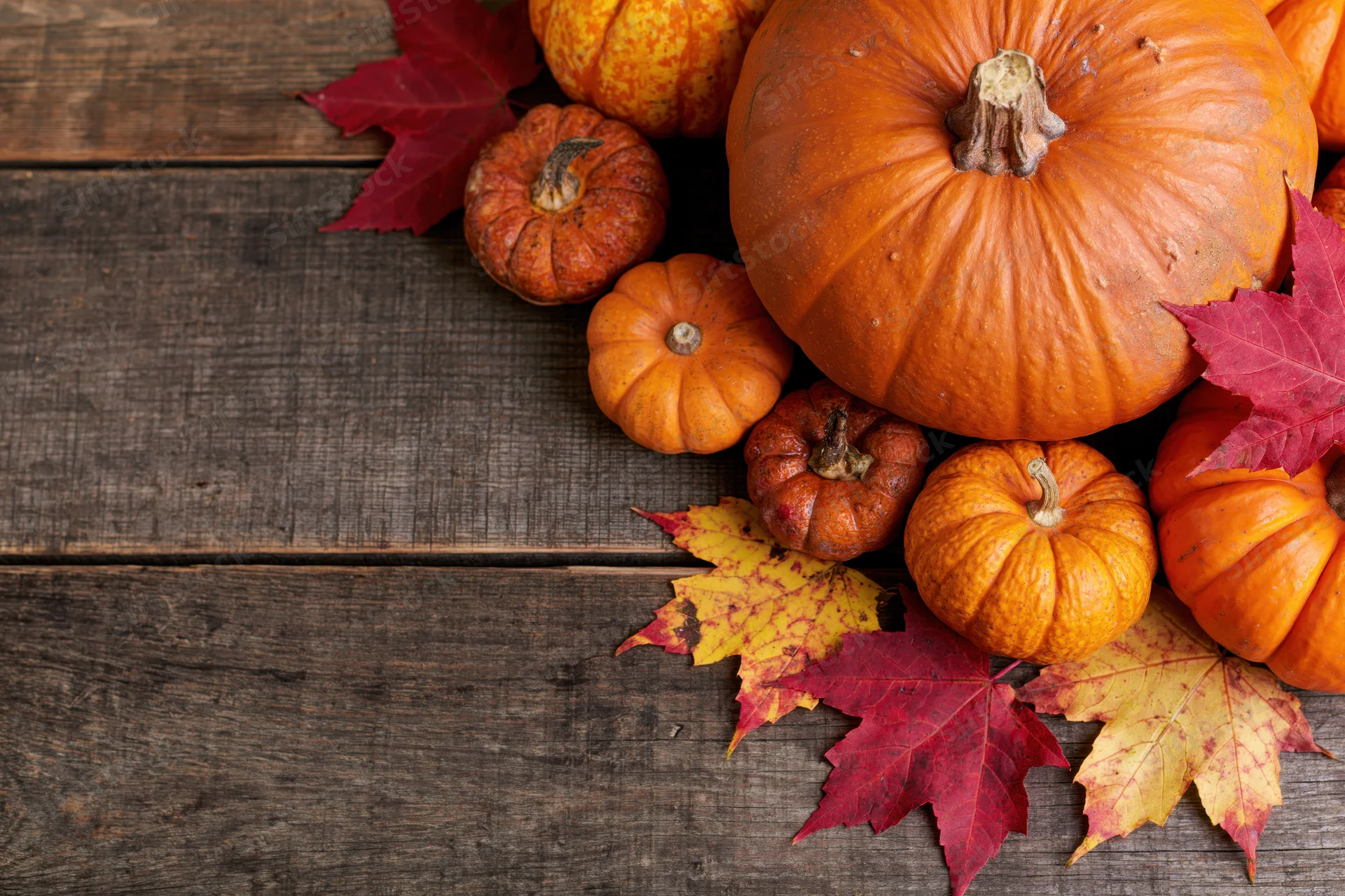 Pumpkins and maple leaves arranged on a rustic wooden table with copyspace on the left