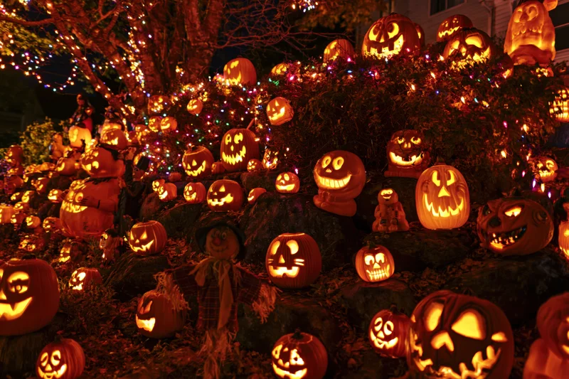 Dozens of glowing carved pumpkins arranged in a yard display at night with string lights and a scarecrow