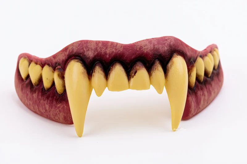 Plastic vampire fangs prop isolated on white background