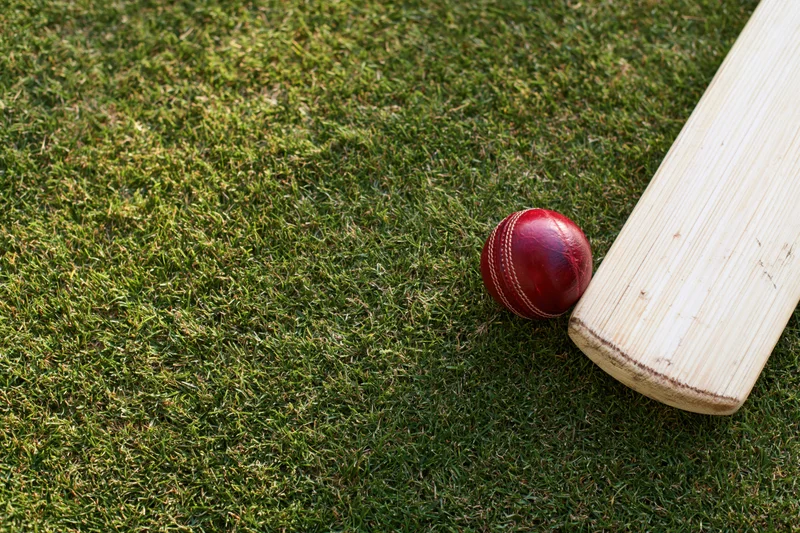 Red leather cricket ball resting against wooden bat on green grass field