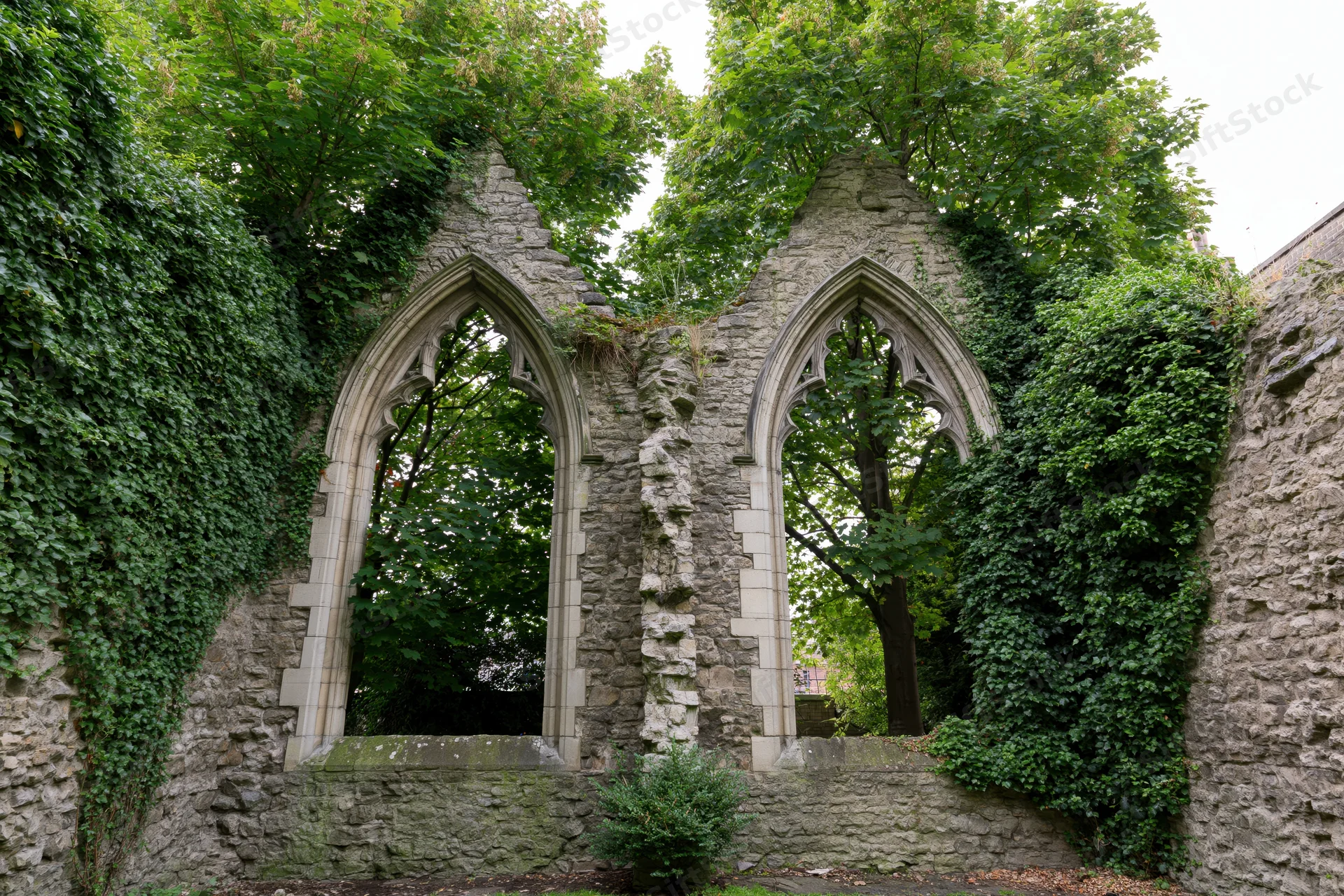 Two pointed stone arches in a roofless gothic church ruin overgrown with ivy and trees