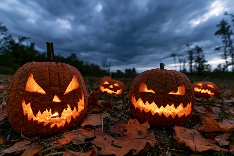 Carved jack-o-lanterns glowing in an open field at dusk surrounded by autumn leaves