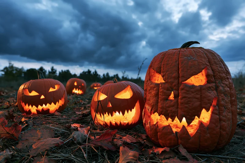 Carved jack-o-lanterns glowing in an open field at dusk