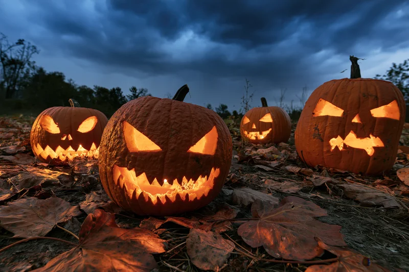 Carved jack-o-lanterns glowing in an open field at night among fallen leaves