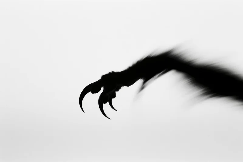 Silhouetted claw with curved talons in motion against white background
