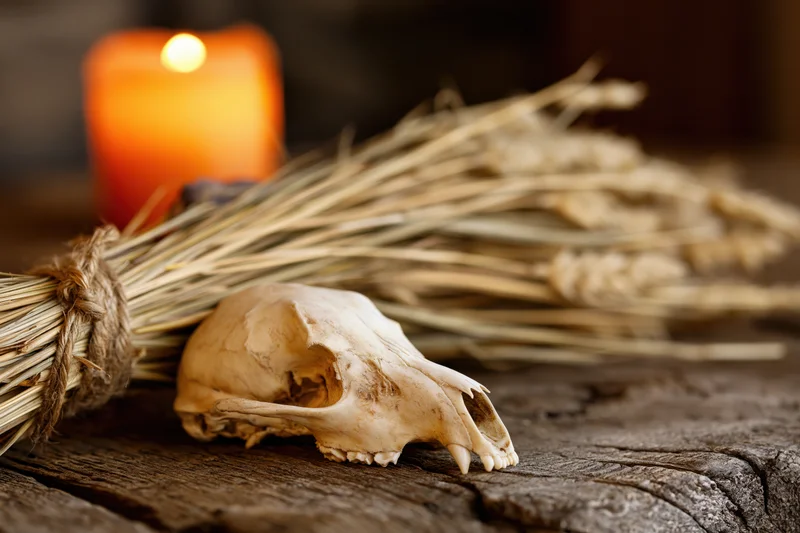 Animal skull resting on weathered wooden surface beside a lit candle and bundle of dried wheat