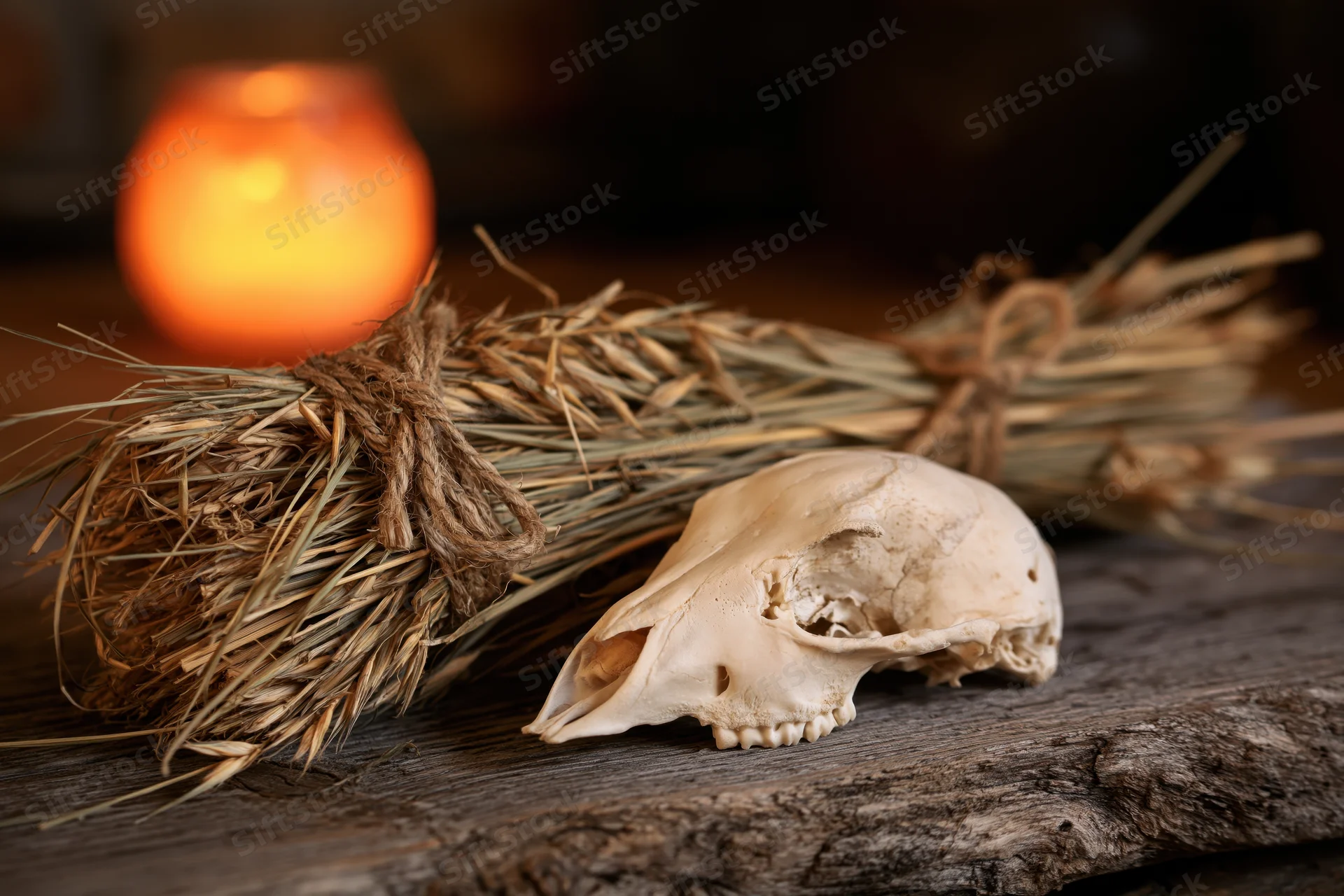 Bleached animal skull resting on weathered wooden surface beside a straw broom and glowing candle