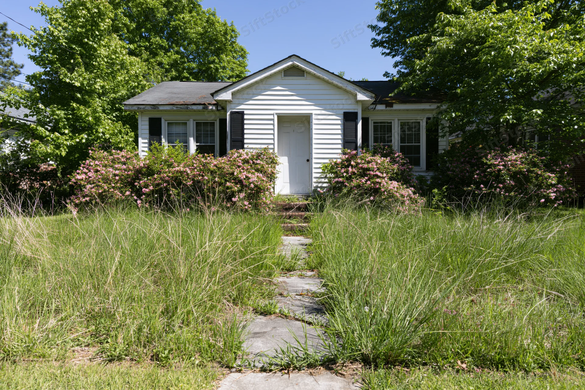 White clapboard bungalow with black shutters and overgrown lawn, stone pathway leading to front door, surrounded by flowering shrubs and trees