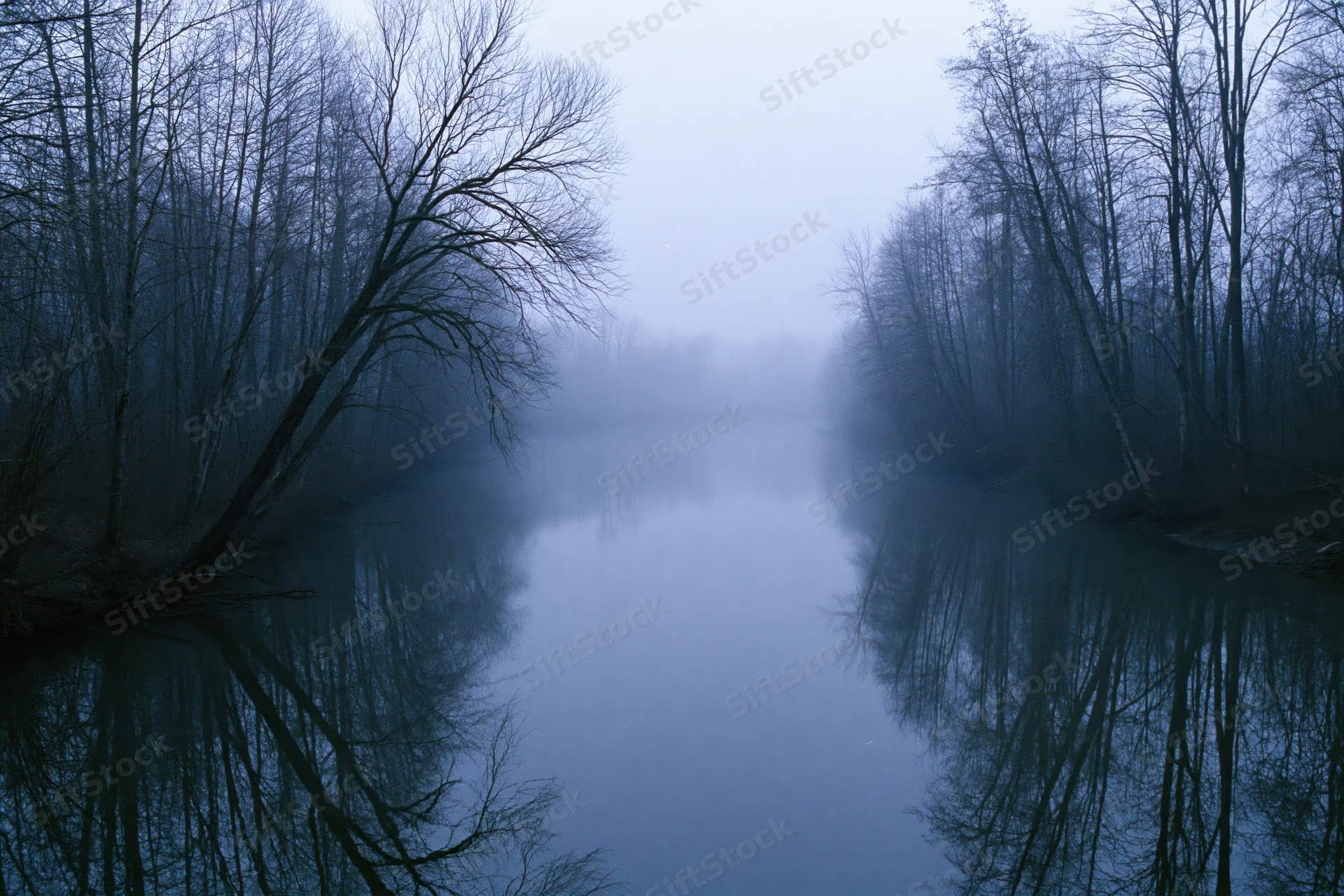 Still river reflecting bare winter trees in dense fog at dawn