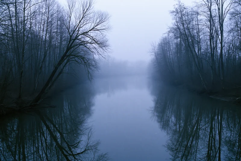 Still river reflecting bare winter trees in dense fog at dawn