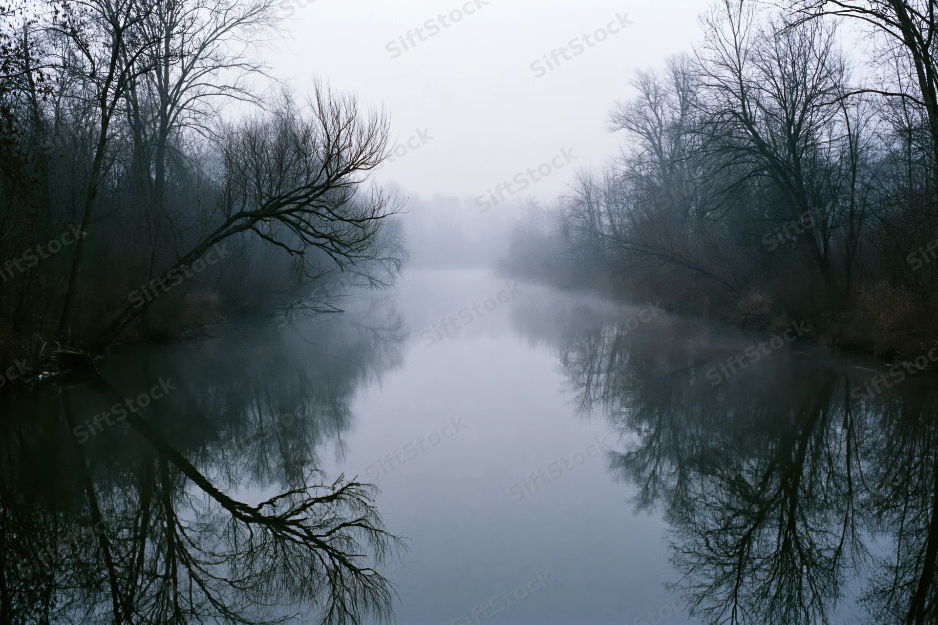 Still river reflecting bare winter trees in dense fog at dawn