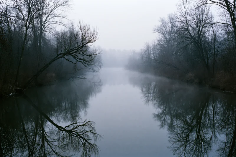 Still river reflecting bare winter trees in dense fog at dawn