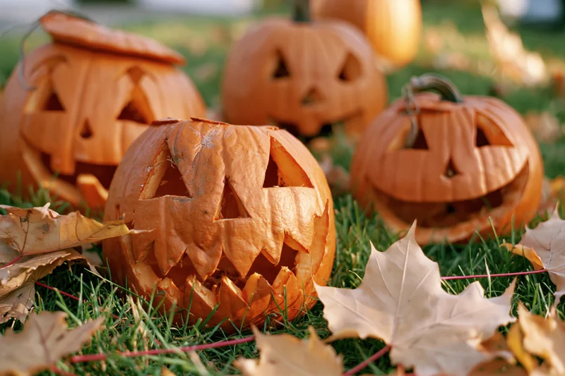 Carved pumpkins with different facial expressions on grass surrounded by fallen leaves