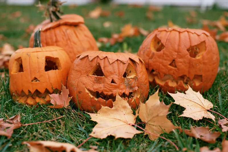 Carved pumpkins with jack-o-lantern faces on grass surrounded by autumn leaves