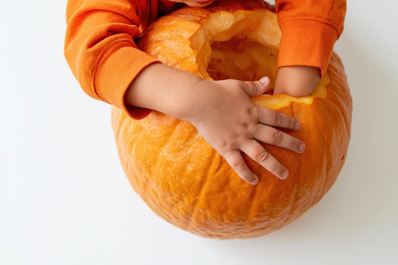 Toddler’s hands reaching into a carved orange pumpkin on white background