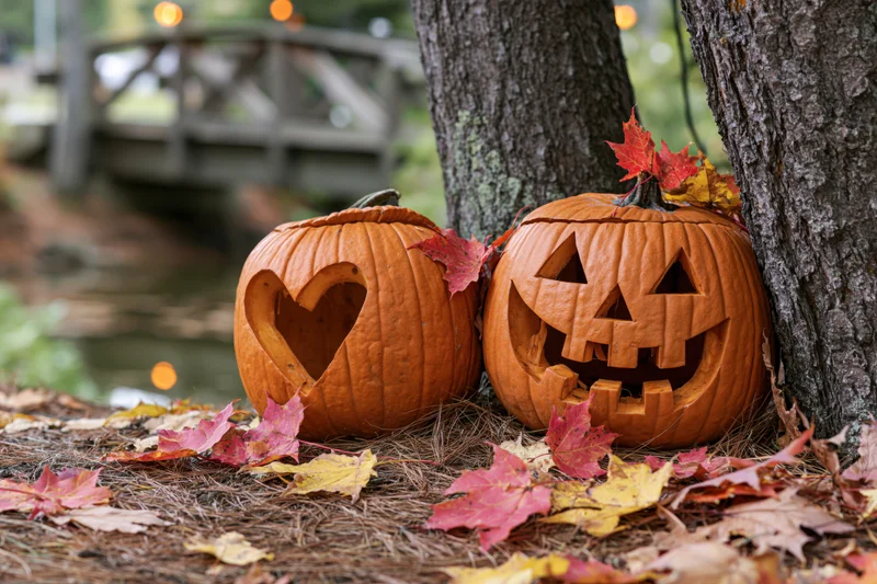Two carved pumpkins with heart and face designs resting on pine needles beside a tree in a wooded area