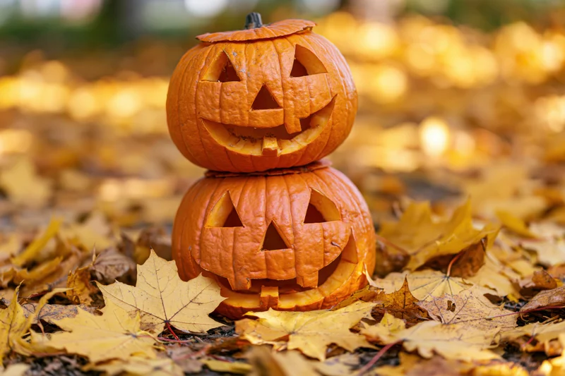 Two carved jack-o-lanterns stacked on autumn leaves outdoors