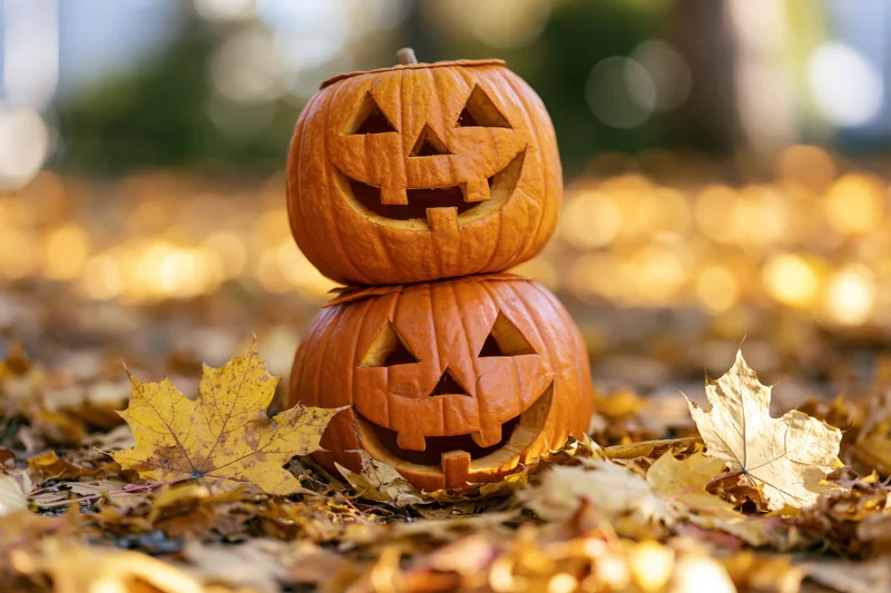Two carved jack-o-lanterns stacked on autumn leaves outdoors