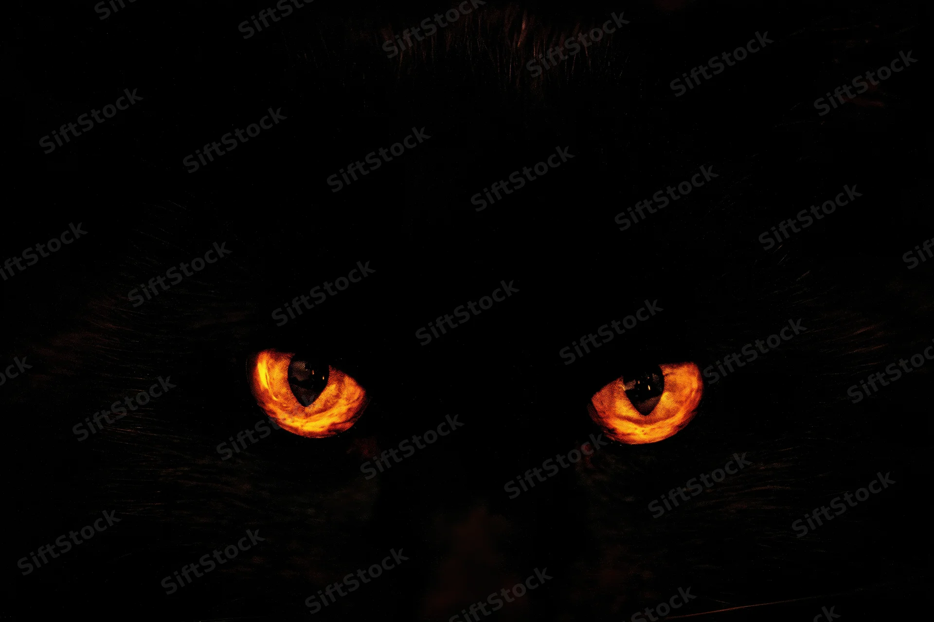 Glowing orange eyes of a black cat in complete darkness
