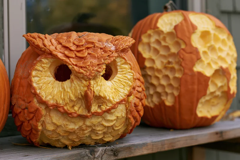 Intricately carved owl pumpkin and honeycomb-patterned pumpkin displayed on a wooden shelf outdoors near a house window