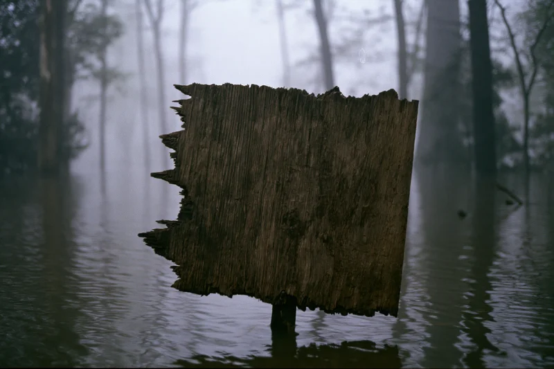 Weathered wooden sign with jagged broken edges standing in flooded forest under fog