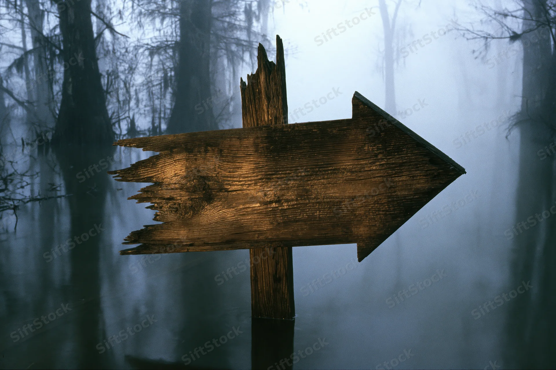 Weathered wooden arrow sign pointing right in a misty swamp with submerged cypress trees and calm water reflections