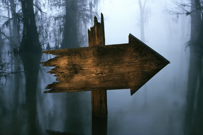 Weathered wooden arrow sign pointing right in a misty swamp with submerged cypress trees and calm water reflections