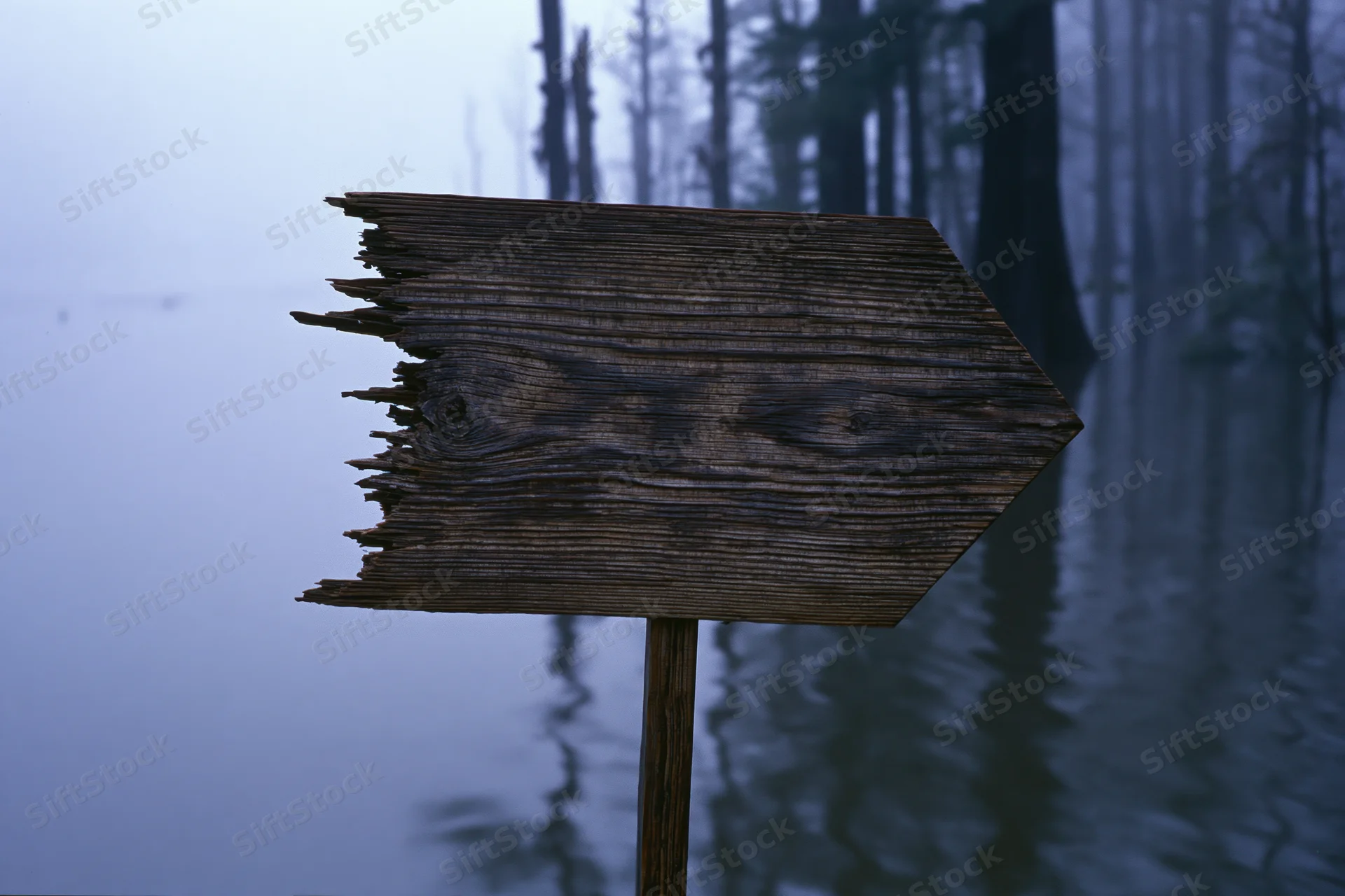 Weathered wooden directional sign with jagged broken edges pointing into misty forested lake at dusk