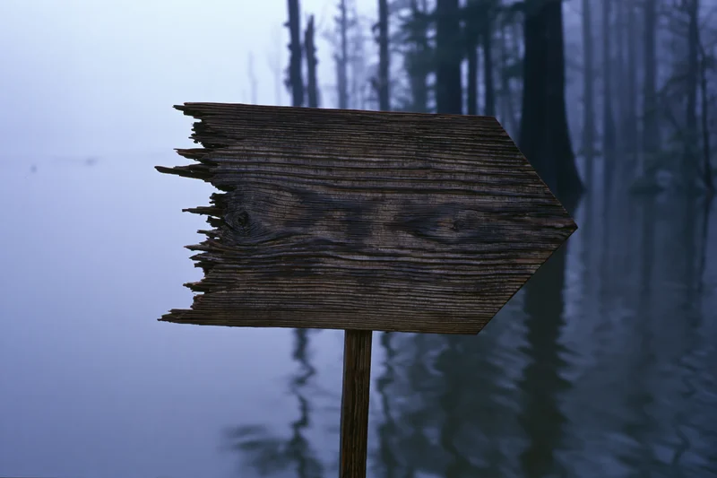 Weathered wooden directional sign with jagged broken edges pointing into misty forested lake at dusk