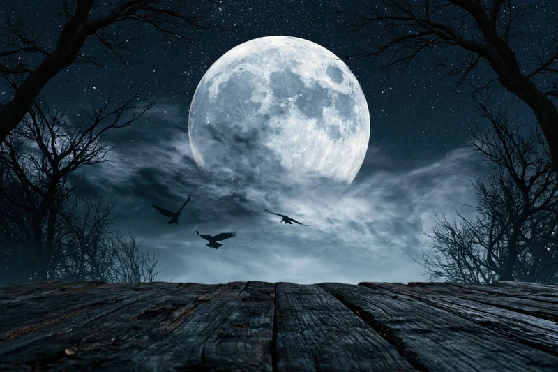 Full moon over a dark forest with bare trees and flying birds seen from a low angle on a weathered wooden surface