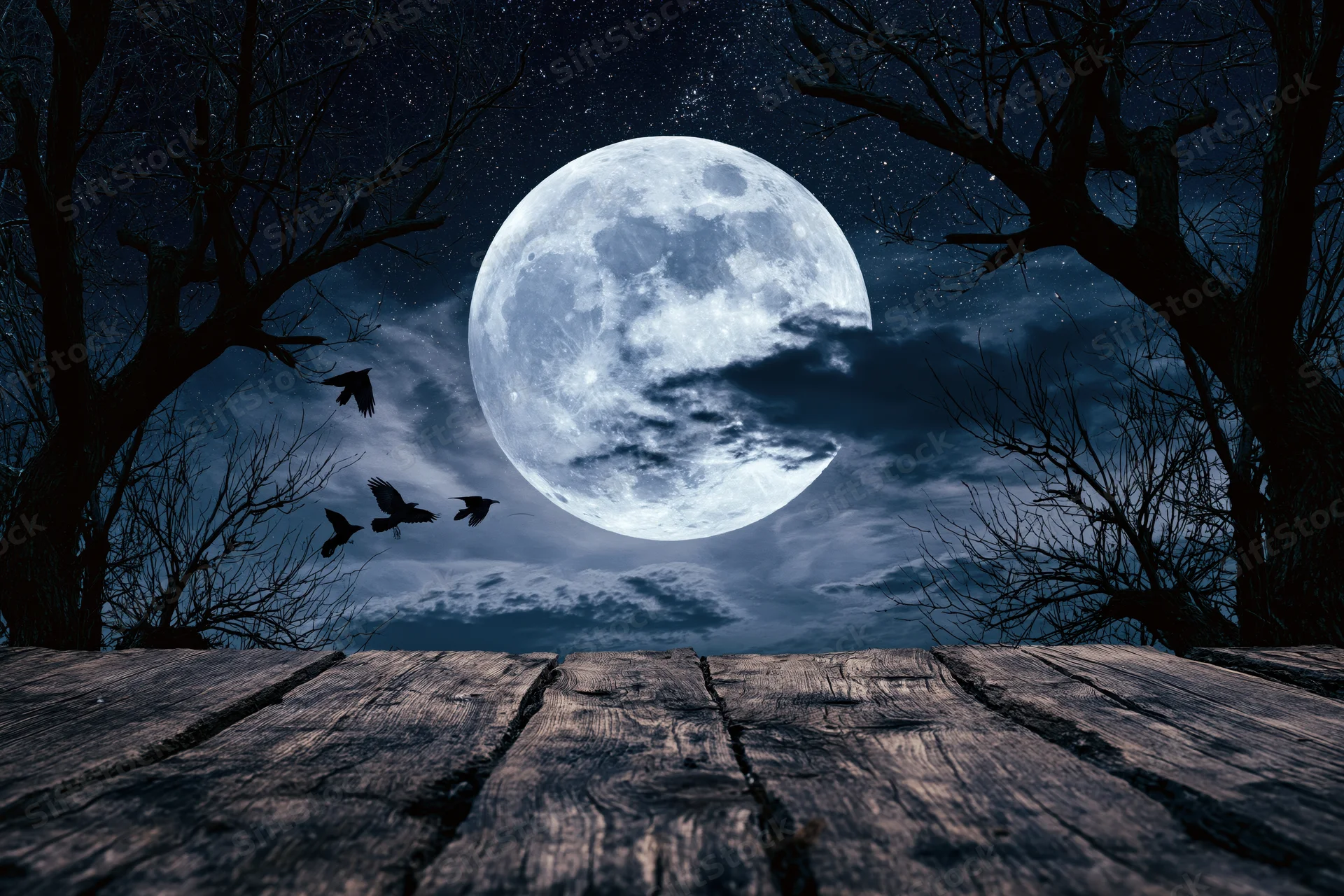 Full moon glowing in starry night sky above weathered wooden planks with bare trees and flying birds in forest