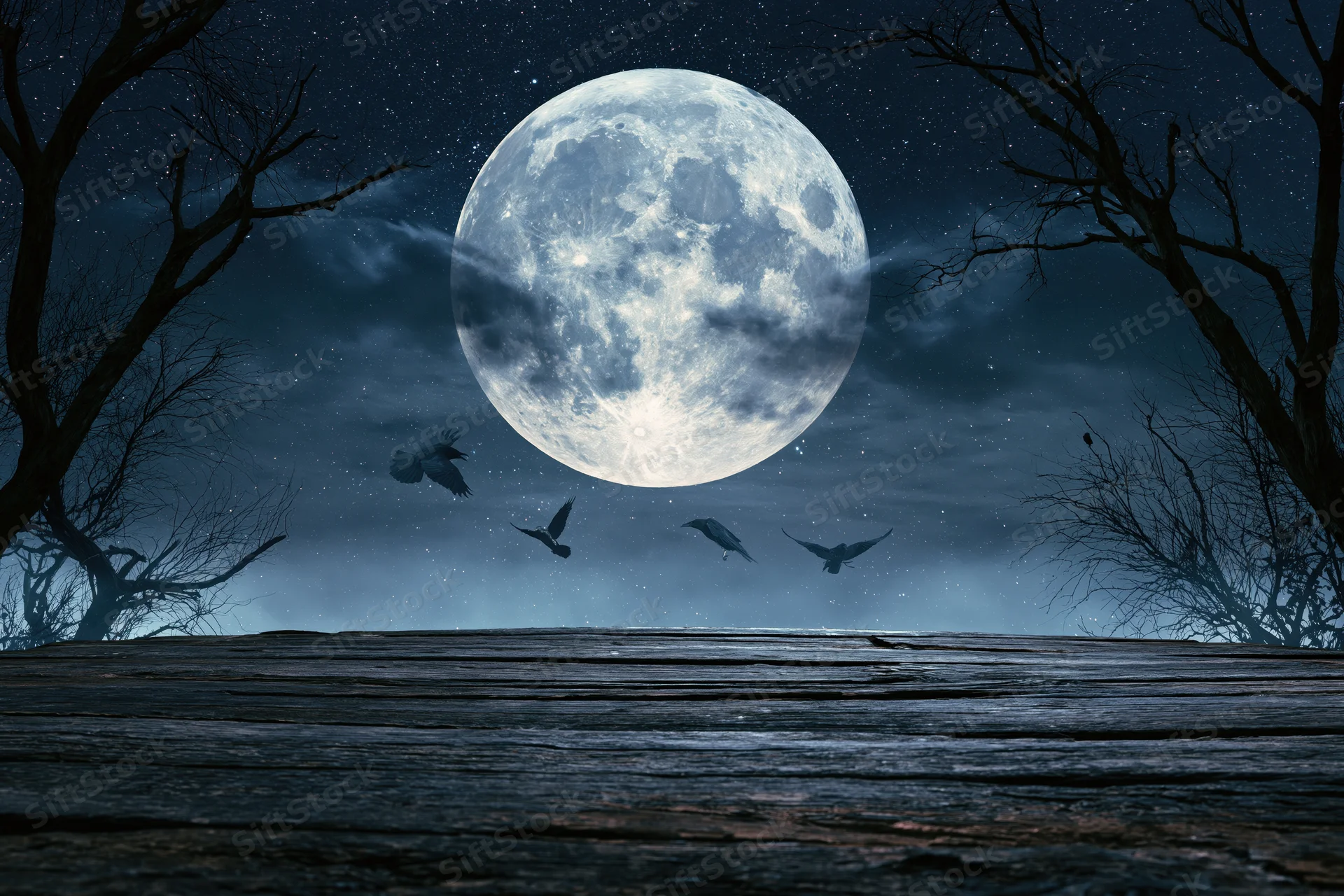 Full moon glowing over a dark forest with bare trees and flying crows, viewed from a low angle over a weathered wooden plank surface