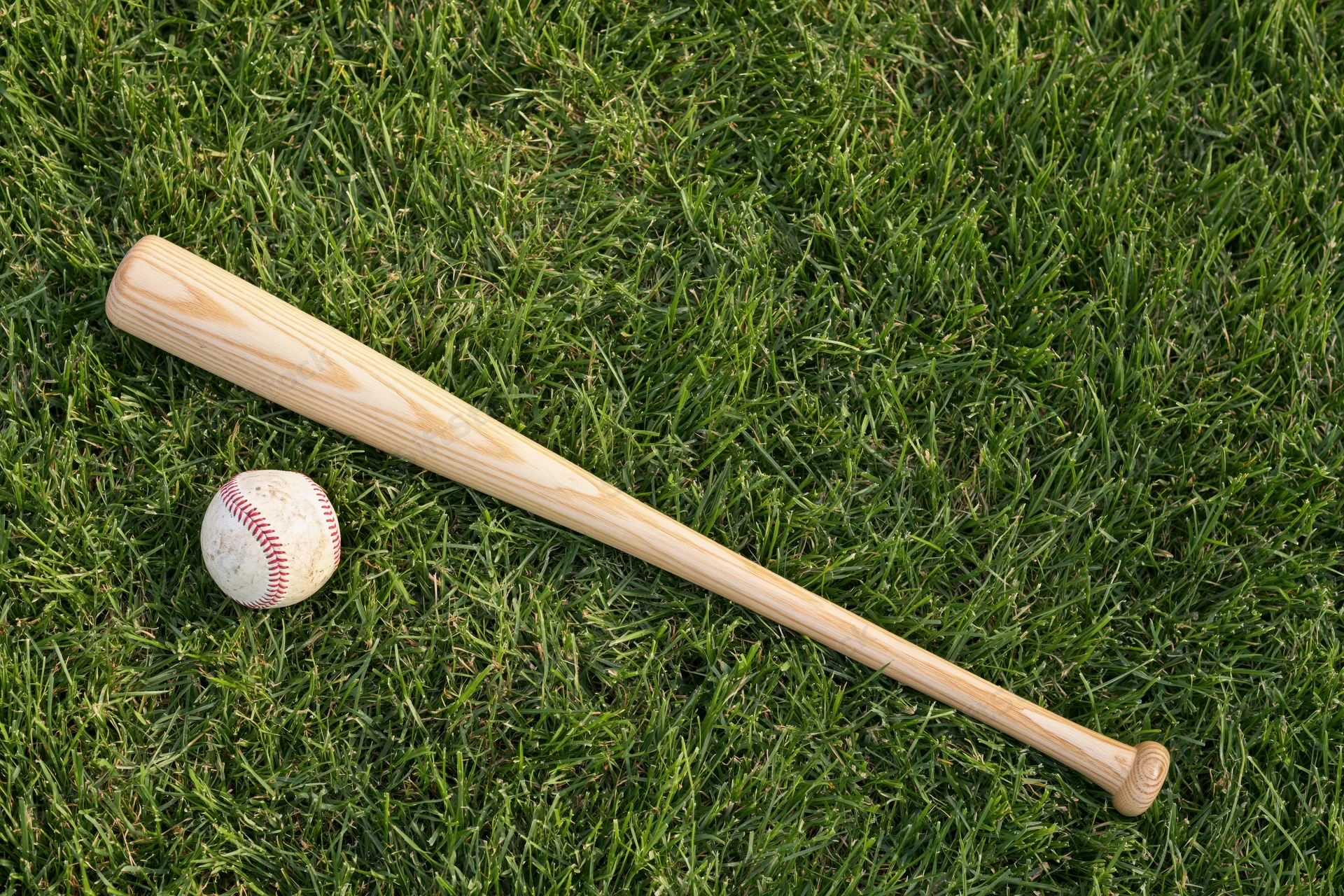 Wooden baseball bat and ball resting on green grass field