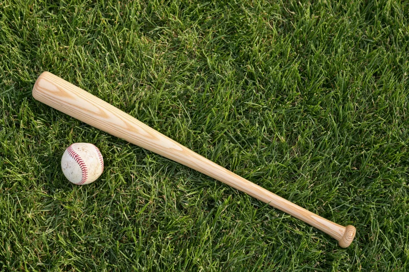 Wooden baseball bat and ball resting on green grass field
