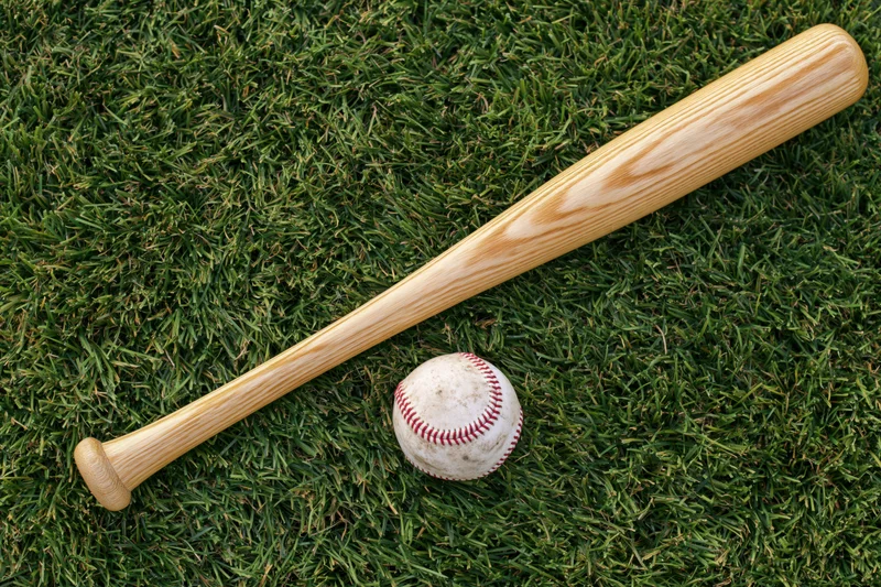 Wooden baseball bat and ball resting on green grass field