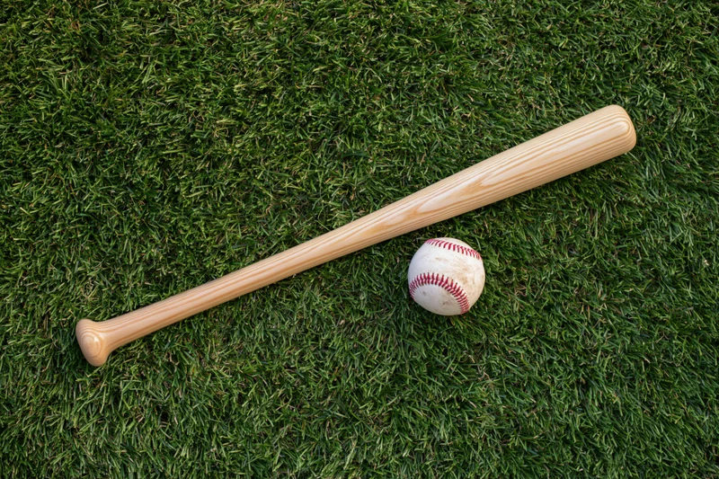 Wooden baseball bat and ball resting on green grass field