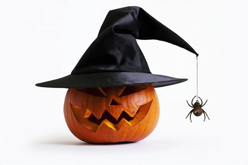 Carved pumpkin wearing witch hat with spider hanging from brim on white background