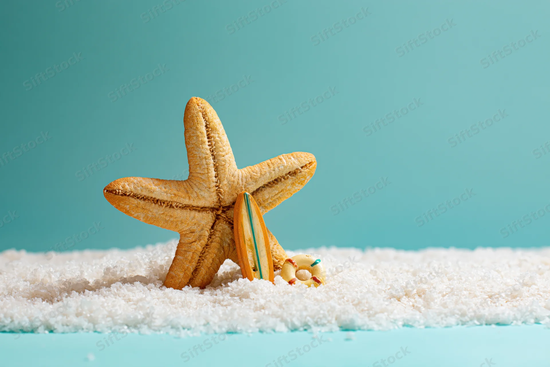 Dried starfish standing upright in fine white sand with miniature surfboard and buoy beside it