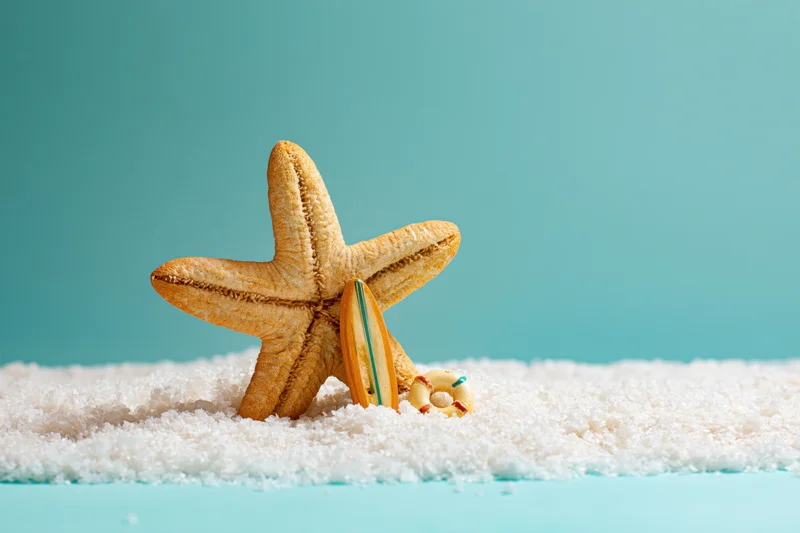 Dried starfish standing upright in fine white sand with miniature surfboard and buoy beside it