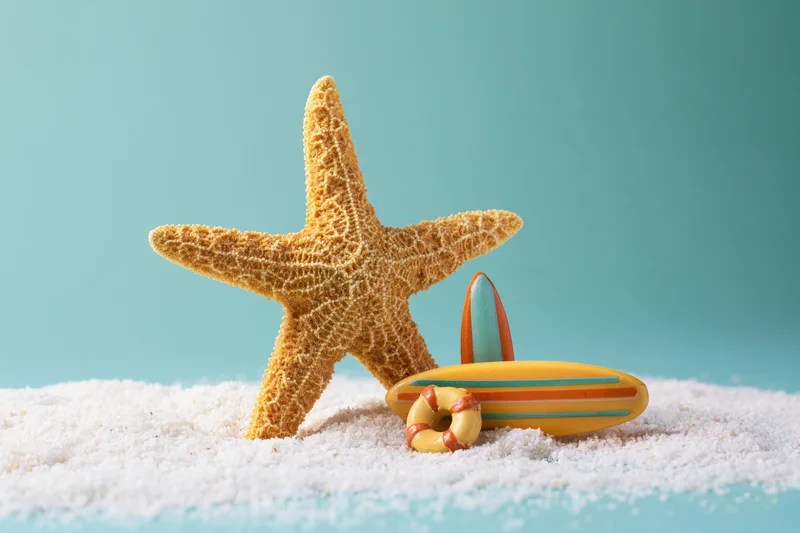 Dried starfish standing upright in white sand beside a toy surfboard and lifebuoy on a teal background