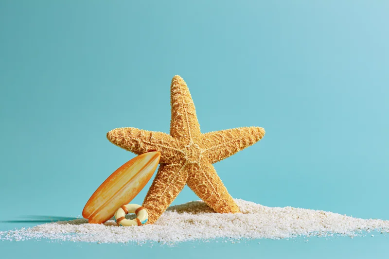 Dried starfish standing upright in fine white sand next to a small surfboard and lifebuoy against a turquoise background