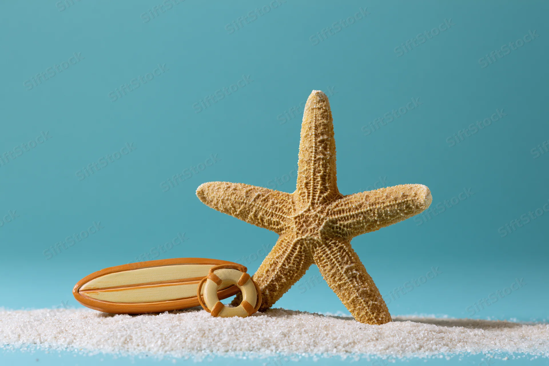 Dried starfish standing upright in fine white sand next to a small surfboard and lifebuoy