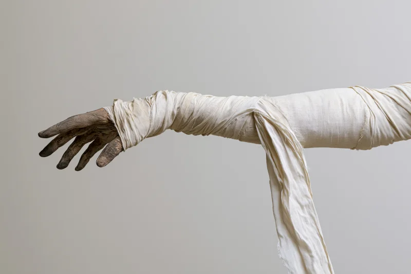 Mummy-wrapped arm and hand reaching forward with darkened fingers against plain background