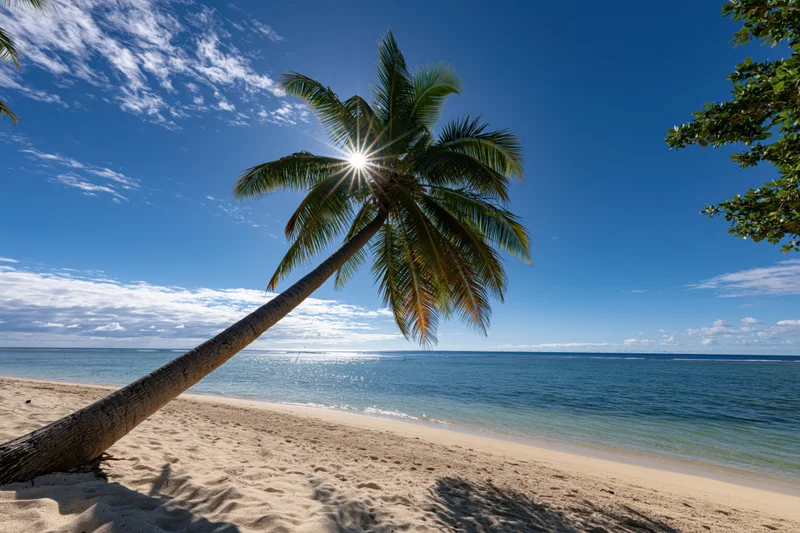 Leaning coconut palm tree on sandy beach beside calm ocean under bright blue sky with sun shining through fronds