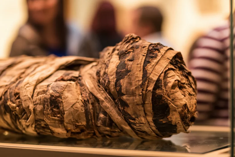 Ancient egyptian mummy wrapped in aged linen bandages on display in a museum case with visitors in the background