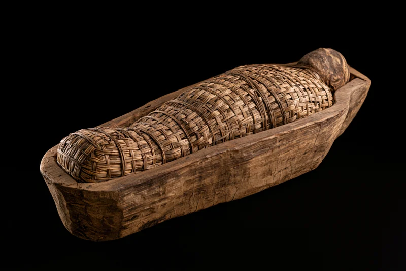 Ancient egyptian mummy wrapped in woven reed matting lying in wooden sarcophagus on black background