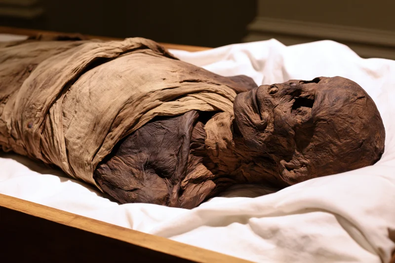 Ancient human mummy wrapped in linen resting in wooden display case at museum exhibit