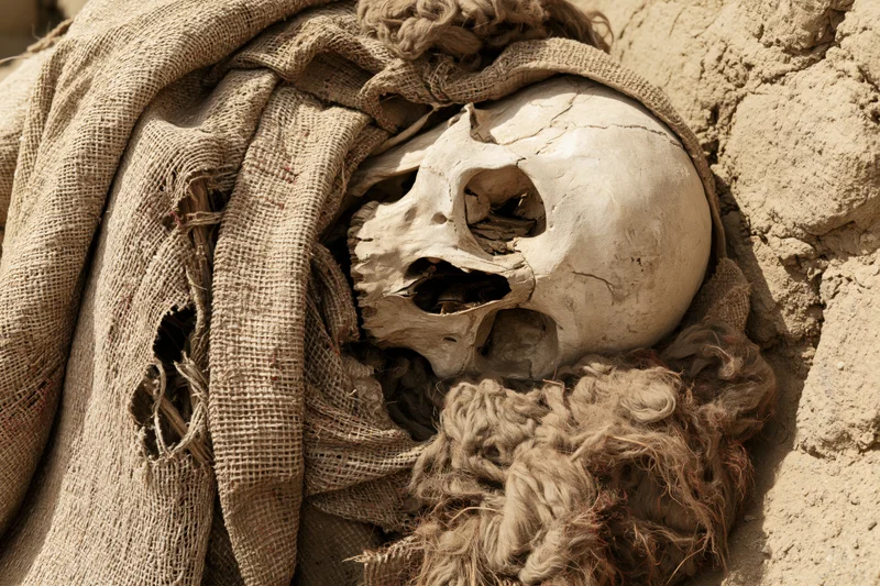Ancient mummy with exposed skull wrapped in burlap textile resting in sand