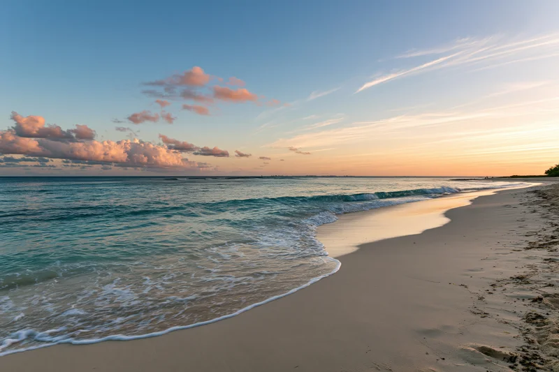 Gentle waves washing over sandy beach at sunset under pastel sky